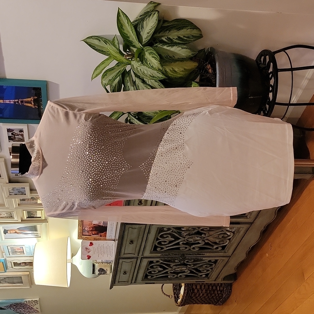 Sheer dress